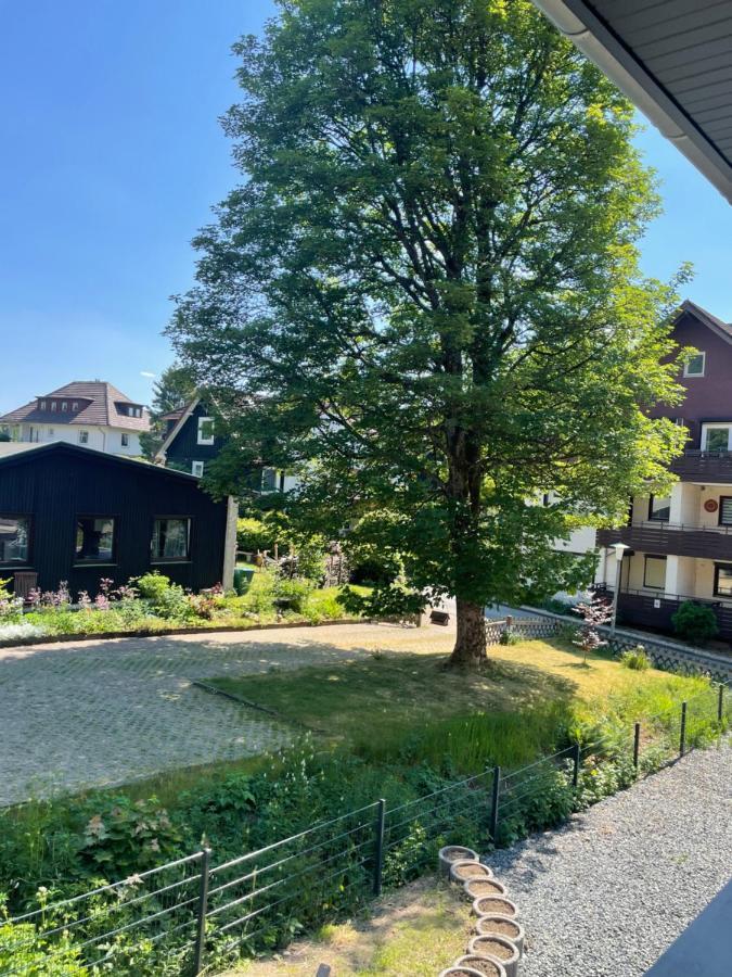 Eastside Braunlage Lejlighed Eksteriør billede